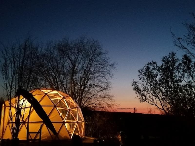 Nuit insolite dans le dôme aux oiseaux