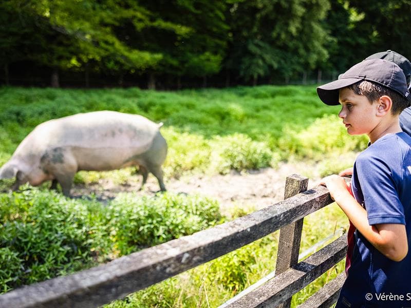 Visite guidée À la rencontre des animaux de la Hardonnerie