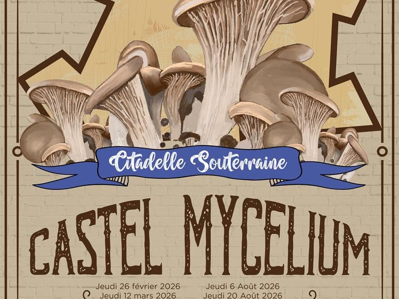Visite Castel Mycélium