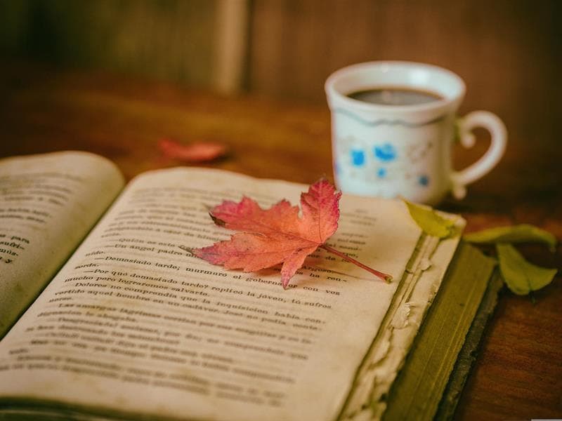 Salon du livre-Les mots en fête