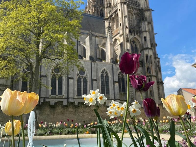Jardins de l'hôtel de ville