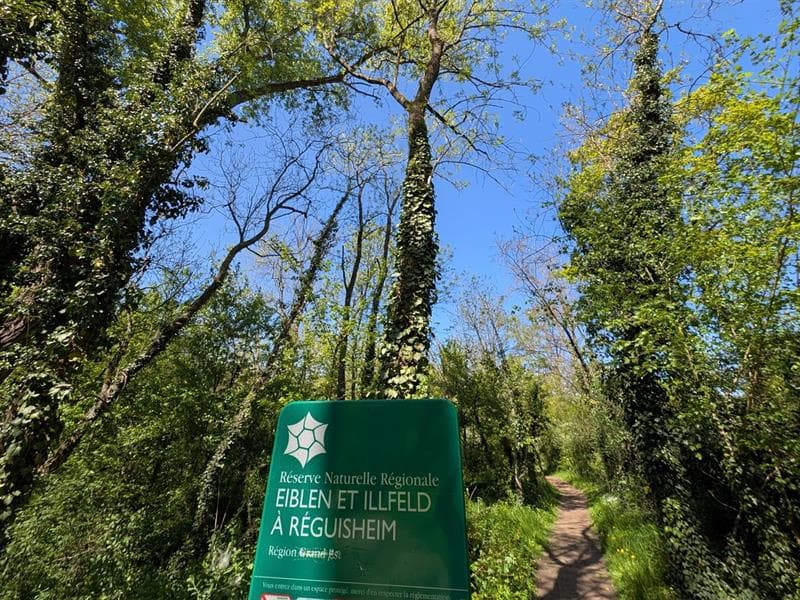 Réserve naturelle de l'Eiblen et l'Illfeld