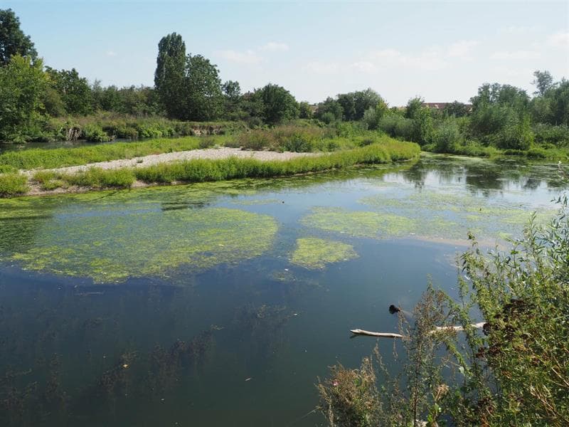 Réserve naturelle de l'Eiblen et l'Illfeld