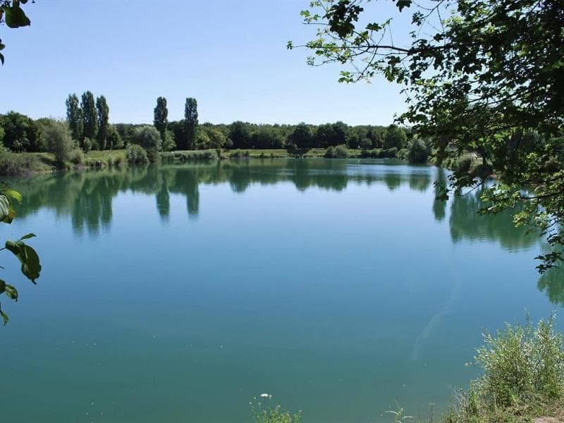 Pêche dans Les Etangs du Thurwald