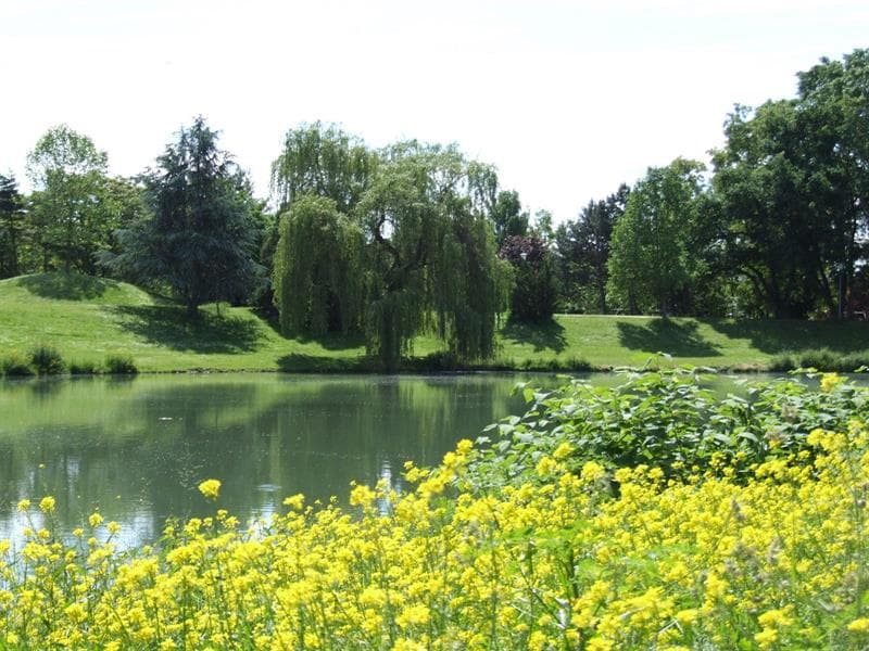 Aire de pique-nique du Parc de l'Eiblen
