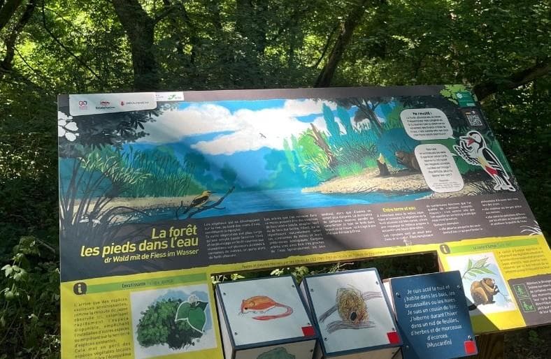 Aire de pique-nique du Parc de l'Eiblen