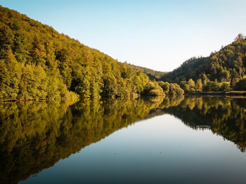 Lucelle