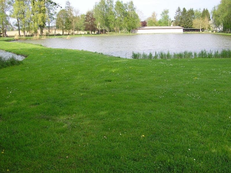 Etang du Ried