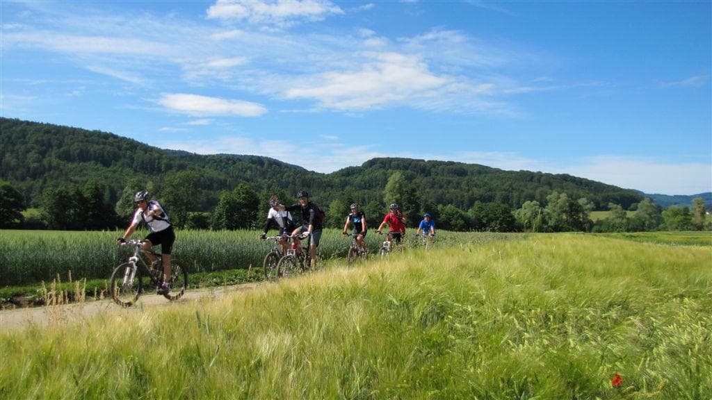 Domaine VTT du Sundgau