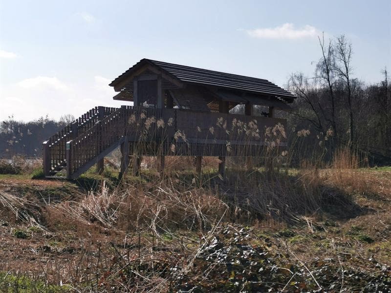 Les Etangs Nérac