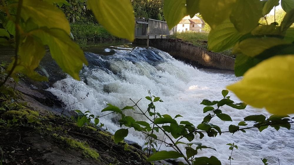 Zone de loisirs et nature : le parc de la Presqu'Ill