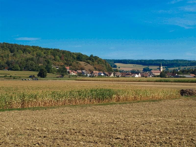 Vente de produits locaux OLTINGUE