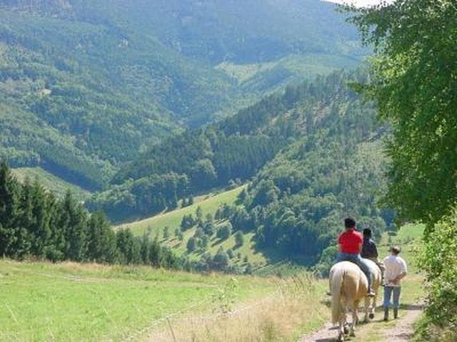 Equitation à Hergauchamps