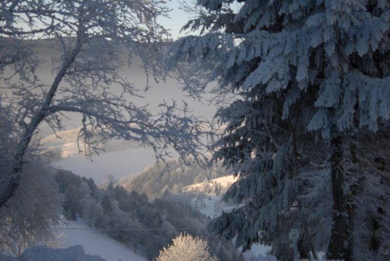 Luge aux Bagenelles