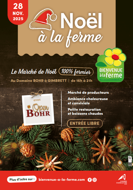 Marché de Noël au Domaine Bohr avec Bienvenue à la Ferme