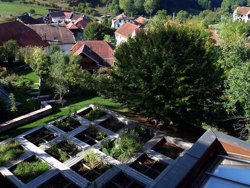 Les jardins du musée Oberlin
