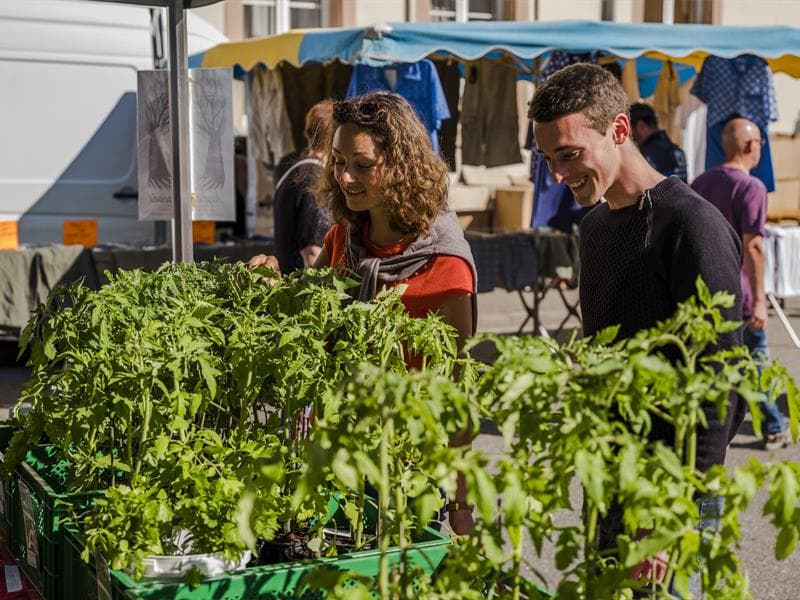 Marché de Rothau