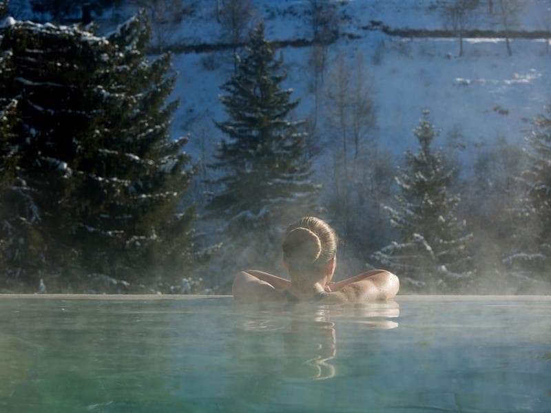 Hôtel Spa La Cheneaudière