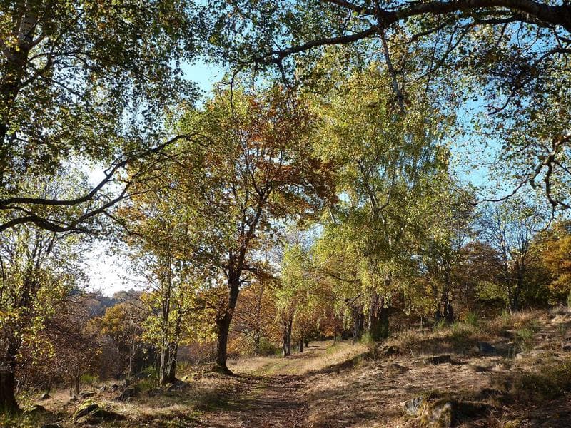 La Perheux