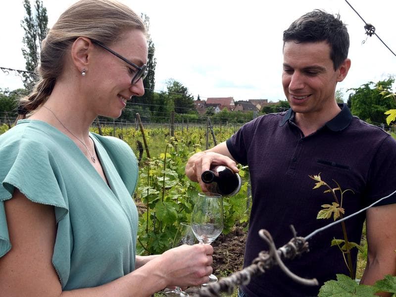 Vignoble dans le village