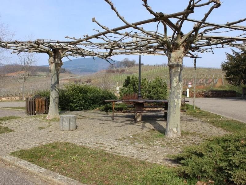 Aire de pique-nique du Zotzenberg