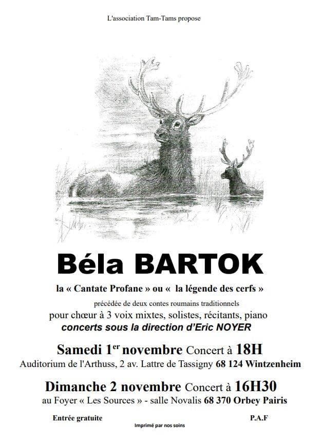 Concert - Béla Bartok