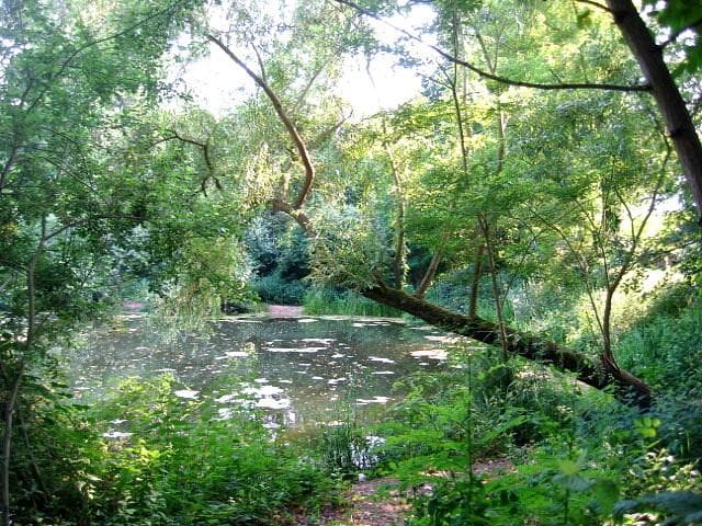 Parc de Stephansfeld