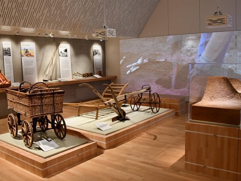 Musée de l'Asperge et des traditions locales