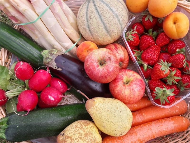 Exposition fruits, fleurs et légumes