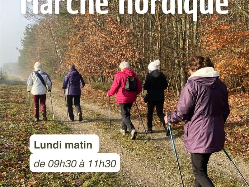 Marche nordique séniors et loisirs