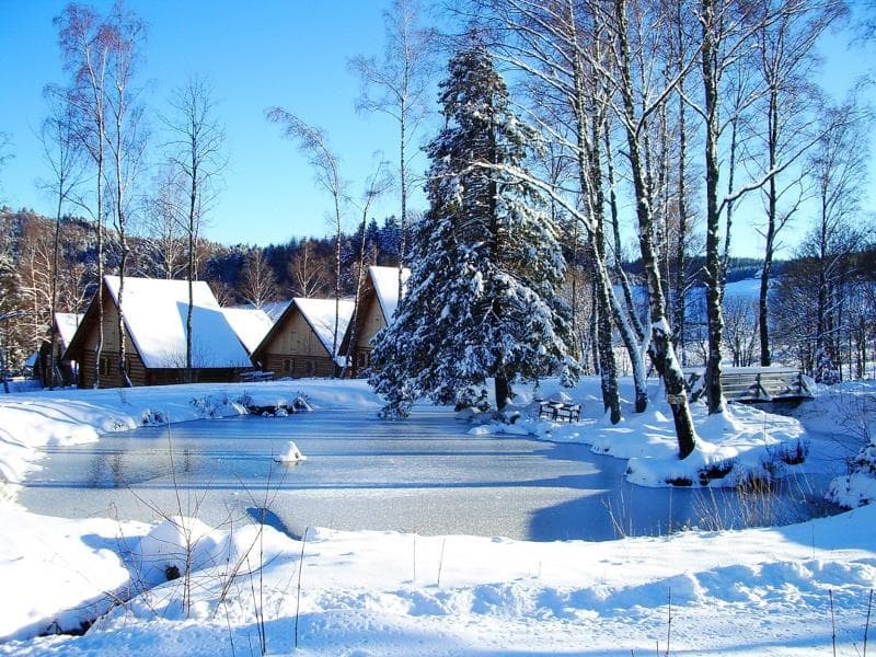 Lodges - Chalet Alisier