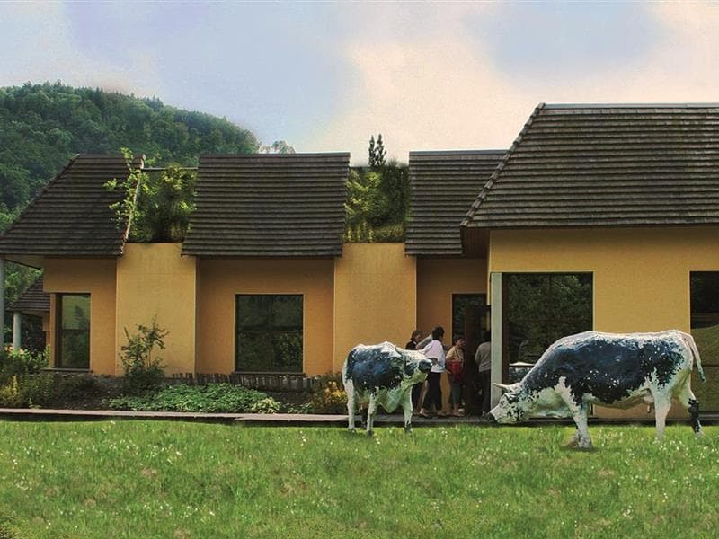 Fromagerie Haxaire - C'est quoi un affineur ?