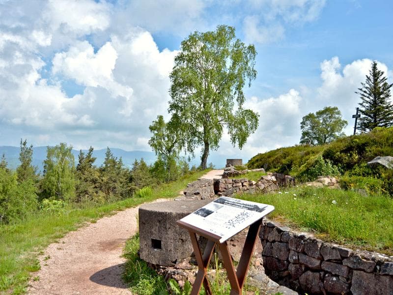 Aire de pique-nique - Baërenstall - Le Linge