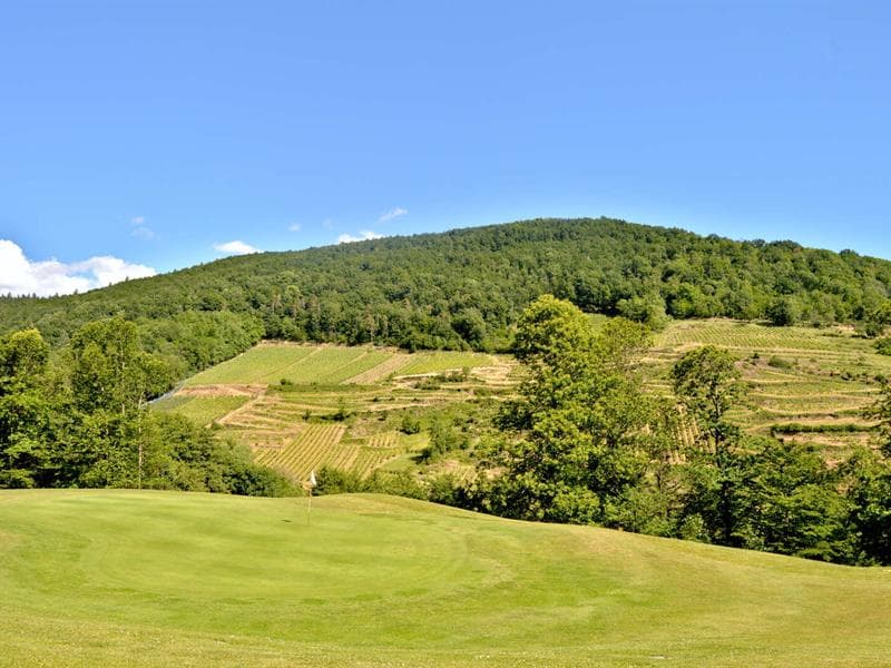 Aire de pique-nique - Sur la route du golf