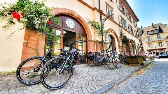 Alsa Cyclo Tours - L'Alsace, grandeur nature