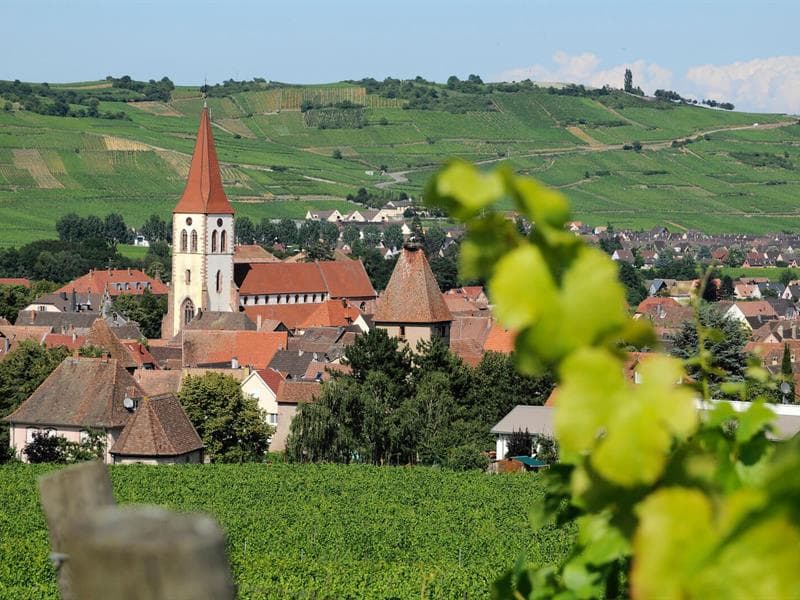 Domaine Jean-Baptiste Adam
