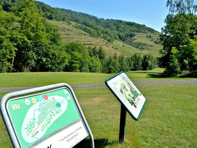 Ugolf Ammerschwihr