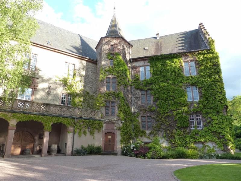 Atelier - Découvrez les millésimes anciens : la vie en r'Ose