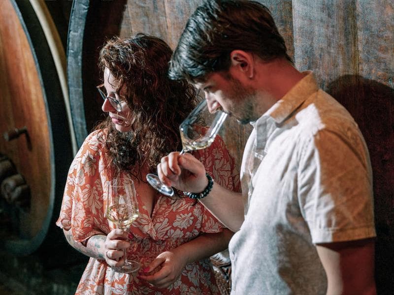 Domaine Blanck Paul et Fils