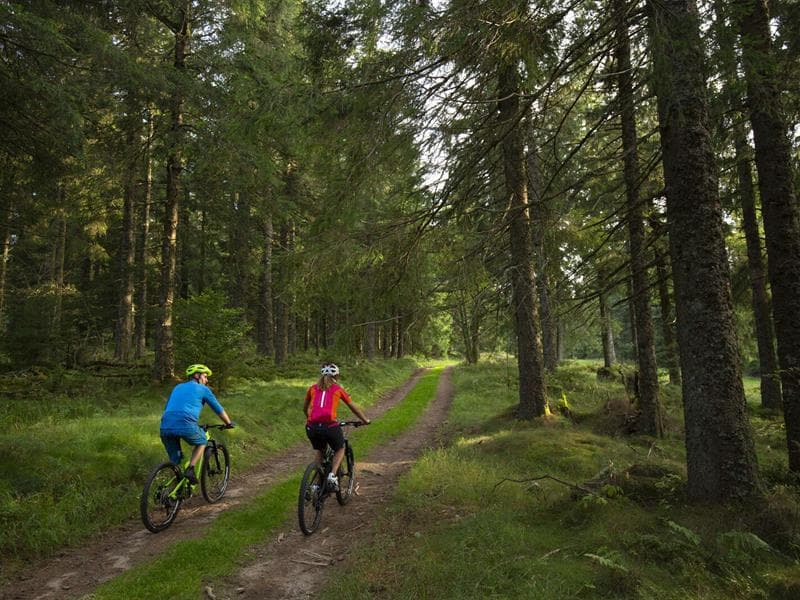 Domaine VTT - Lac Blanc