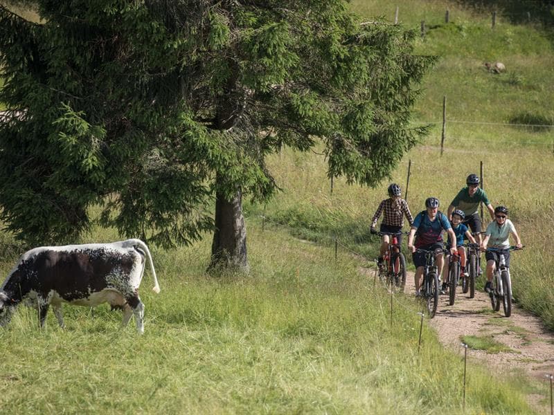 Domaine VTT - Lac Blanc