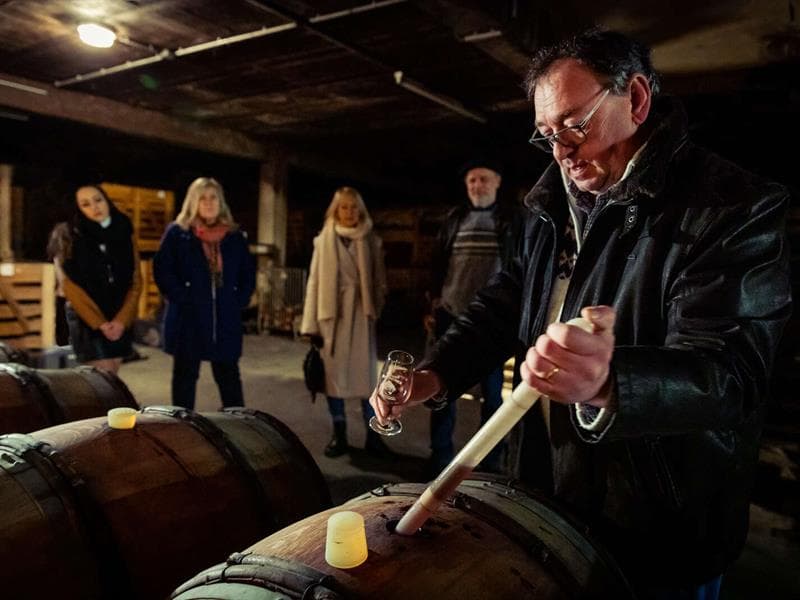 Parenthèse Vigneronne : L'art de la vinification