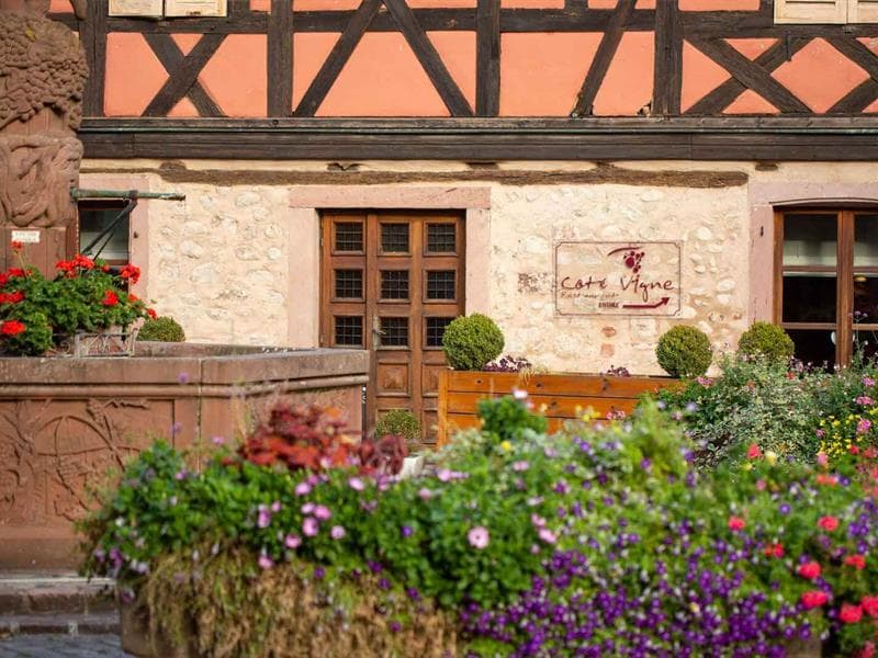 Restaurant Côté Vigne
