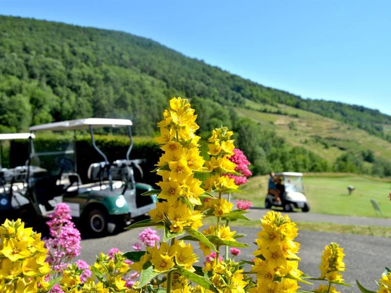 Tour en voiturette de golf