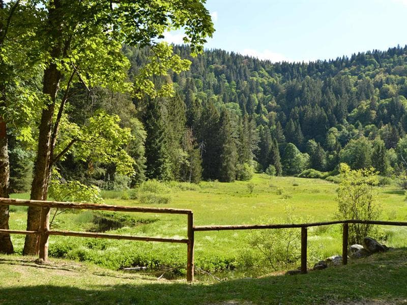L’étang du Devin