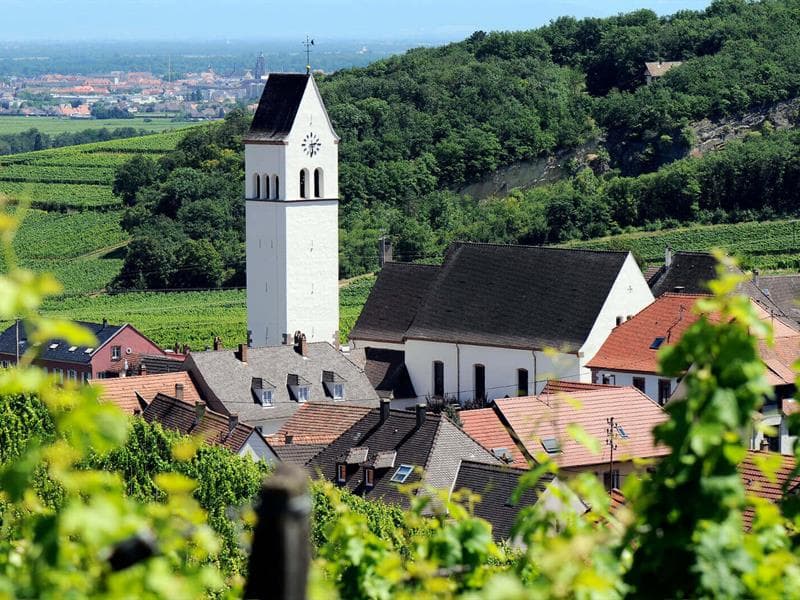 Vue sur le village de Katzenthal