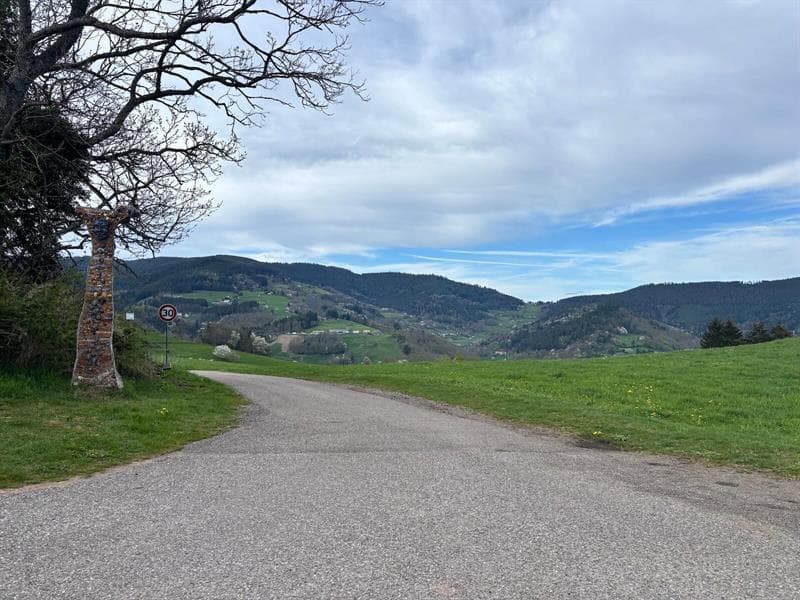 Aire de pique-nique - Au Col de Chamont
