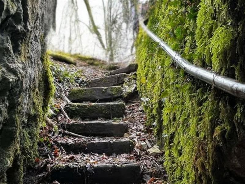 Visite de la grotte du Wolfloch