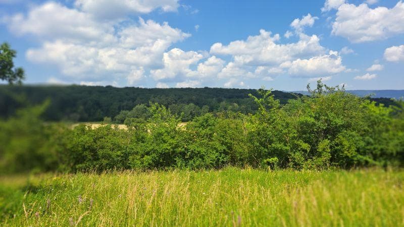 Site naturel Le Wurmberg