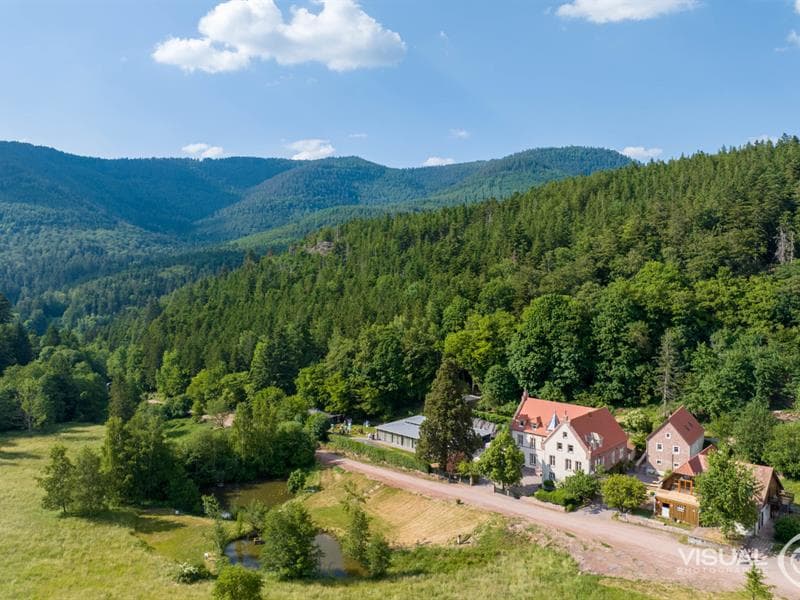 Gîte le nid du verdier